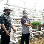 WhatsApp Image 2021-07-11 at 13.27.59