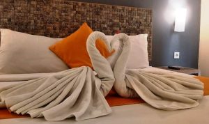 Ssssttt,,,! Ada Pay Day Sale di Hotel Bintang Tiga Greenotel Cilegon: Harga Kamar Cuma Rp300 ribu Lho.(Ris) Portalkota.id