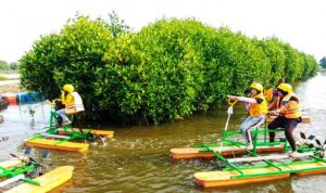 Cegah Kerusakan Garis Pantai, M2C Pulihkan Tanaman Mangrove.(ist) Portalkota.id