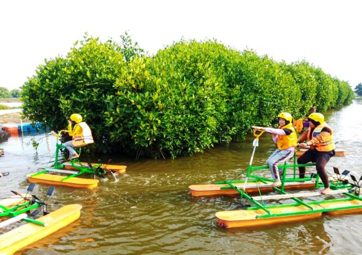 Cegah Kerusakan Garis Pantai, M2C Pulihkan Tanaman Mangrove.(ist) Portalkota.id