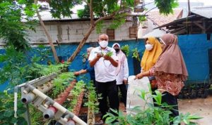 Kampung Sirih dengan Inovasinya yang Bernilai Ekonomis.(ist) portalkota.id