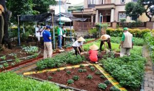 Peduli Bumi, KBA Pinang Menanam 20 Tanaman Buah Langka.(ist) portalkota.id