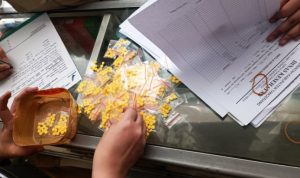 Tim Gabungan Temukan Puluhan Ribu Obat Terlarang, Dinkes Minta Masyarakat Waspada.(ist) Portalkota.id