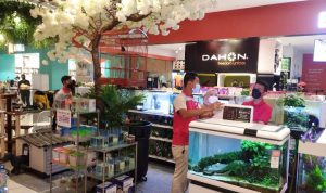Pandora Pets Fest Hadir di Living Plaza Bintaro.(ist) Portalkota.id