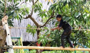 Sekolah Alam Tangerang Deklarasi Hidup Ramah Lingkungan.(ist) Portalkota.id