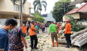 Pohon tumbang di Jalan Melati Mas Serpong Utara.(Dok. BPBD Tangsel) Portalkota.id