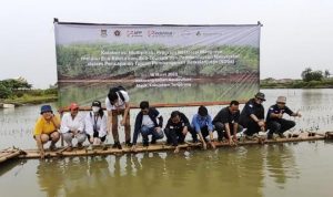 Dukung Eco Education di Ketapang-Urban Aquaculture, IKPP Tangerang bersama SWA dan PWI Tanam Mangrove.(hud) Portalkota.id
