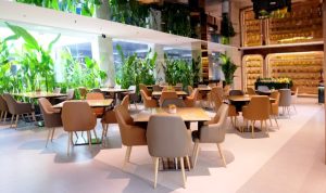 Rimba Durian Cafe.(ist) Portalkota.id