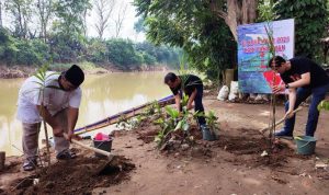 Indah Kiat Tangerang Kembali Tanam Pohon Kiray di Bantaran Sungai Cisadane.(eka) Portalkota.id