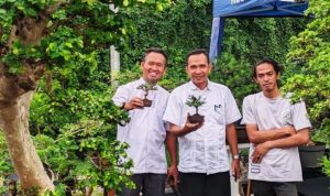 Jangan Lewatkan! Bonsai Benteng Piala Wali Kota Tangerang Segera Hadir.(ist) Portalkota.id