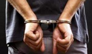 Ilustrasi Borgol.(Headline Lampung) Portalkota.id