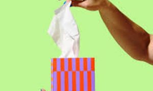 Ilustrasi tisu.(bbs) Portalkota.id