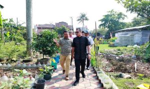 Panen Jagung Pulut di Tangsel, Pilar: Ajang Edukasi Anak-anak Tentang Pertanian.(ist) Portalkota.id