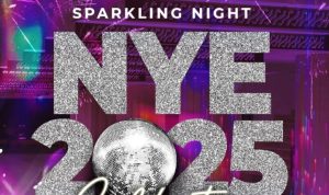 Sambut Tahun Baru 2025 dengan Kemewahan ‘Sparkling Night’ di Hotel Santika Premiere Bintaro.(ist) Portalkota.id
