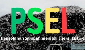 Ilustrasi PSEL.(ris) Portalkota.id