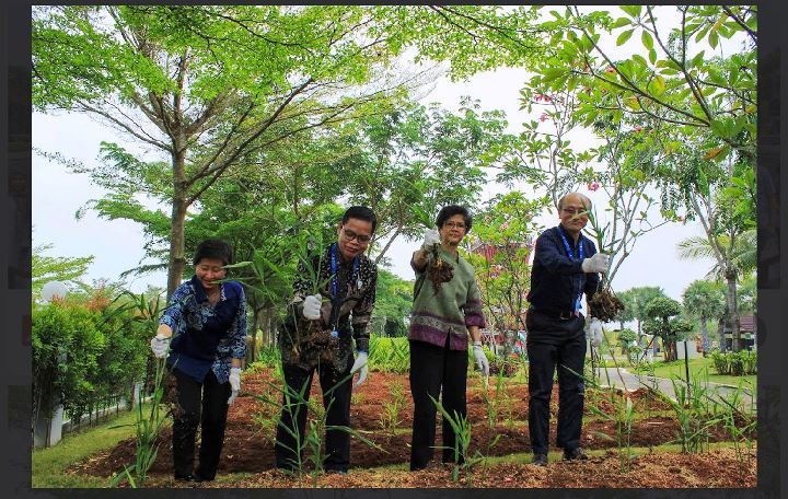 WHO Apresiasi Bintang Toedjoe dalam Kembangkan Obat Herbal Berstandar Global.(Foto: Istimewa) Portalkota.id