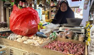 Percepatan NIB Dorong Stabilitas Harga Pangan di Pasar Baros.(Foto: Istimewa) portalkota.id