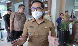 Wakil Wali Kota Tangerang Selatan Pilar Saga Ichsan.(Foto: Istimewa) portalkota.id